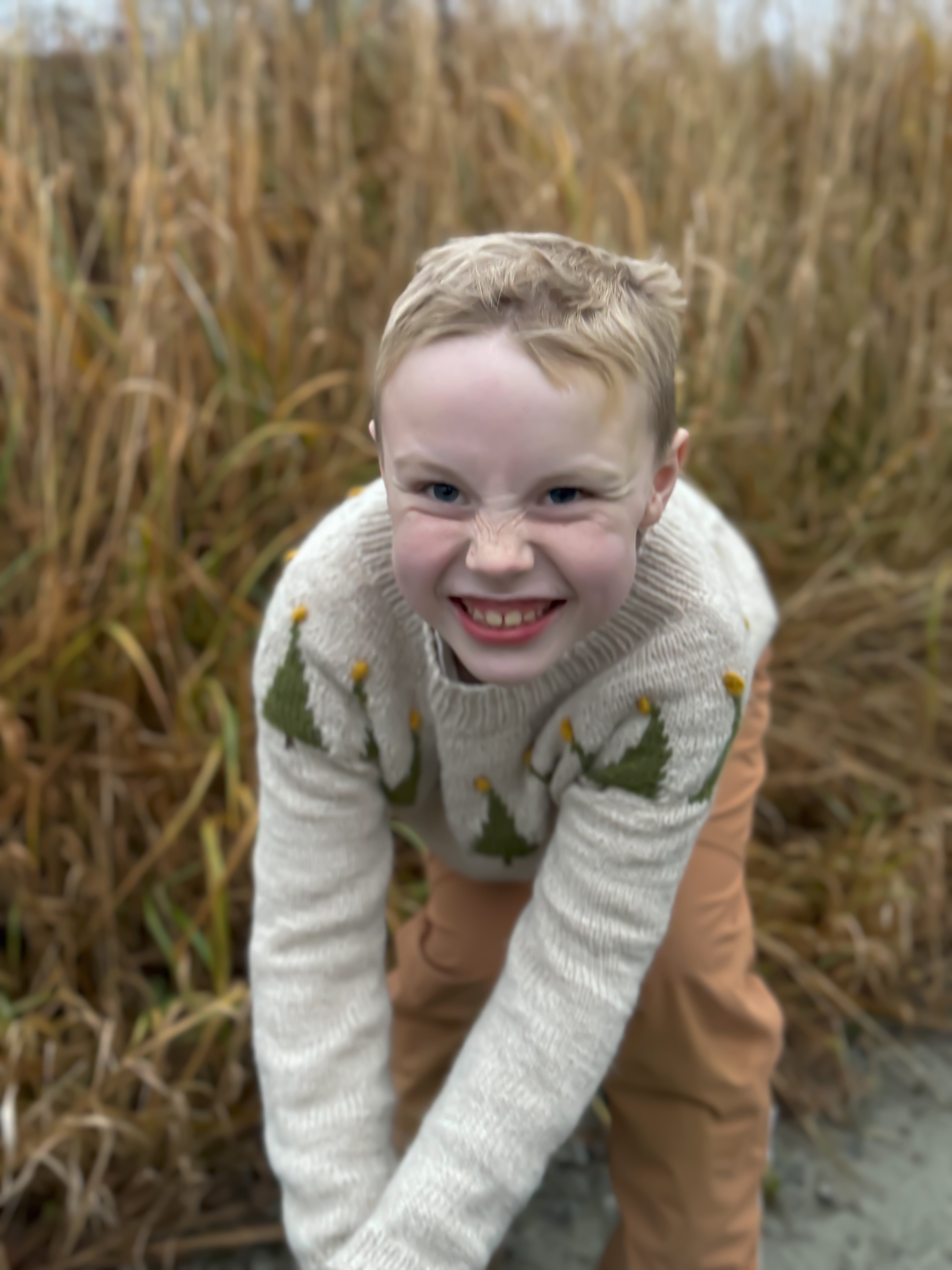 JULETRE GENSER -Norsk oppskrift