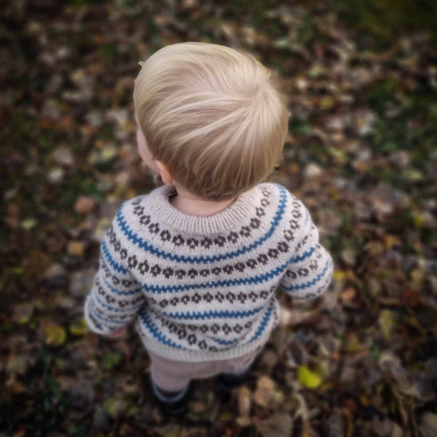 WINTER-BREEZE SWEATER -Norsk oppskrift
