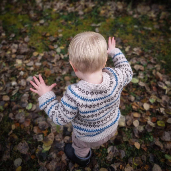 WINTER-BREEZE SWEATER -Norsk oppskrift