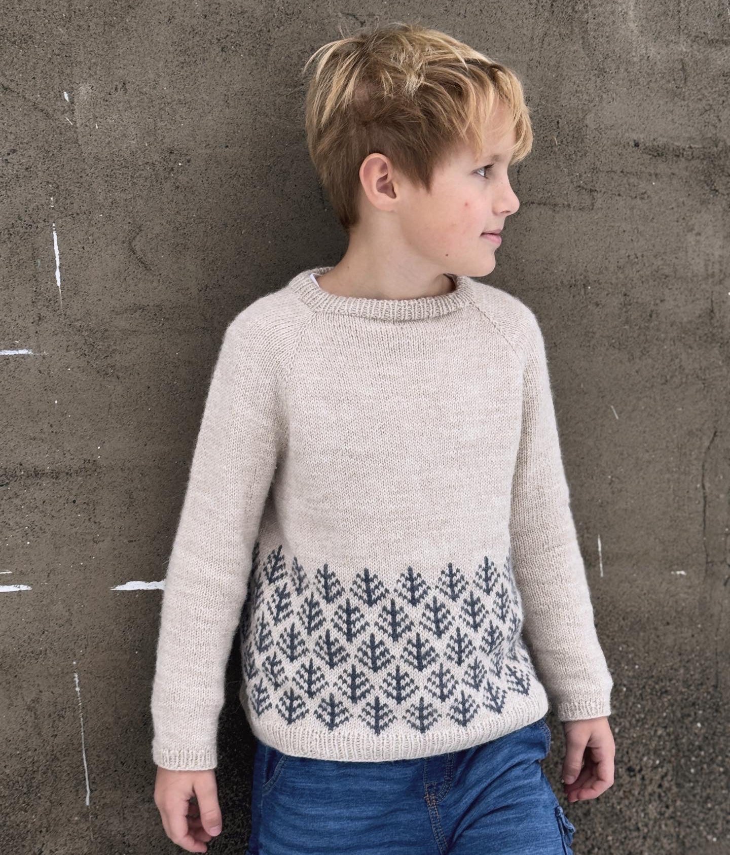 Northern-Hum sweater Barn