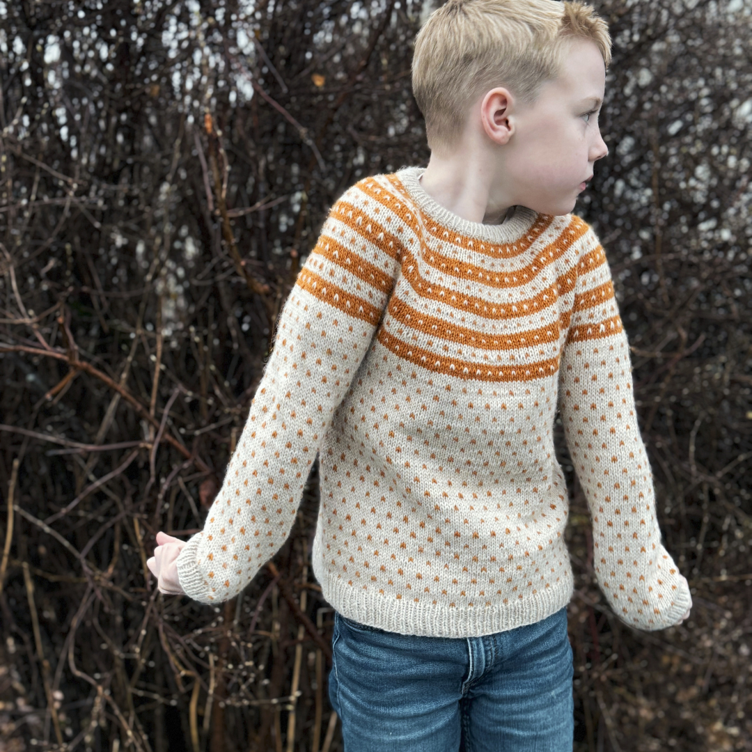 SAUTSO SWEATER - Norsk oppskrift