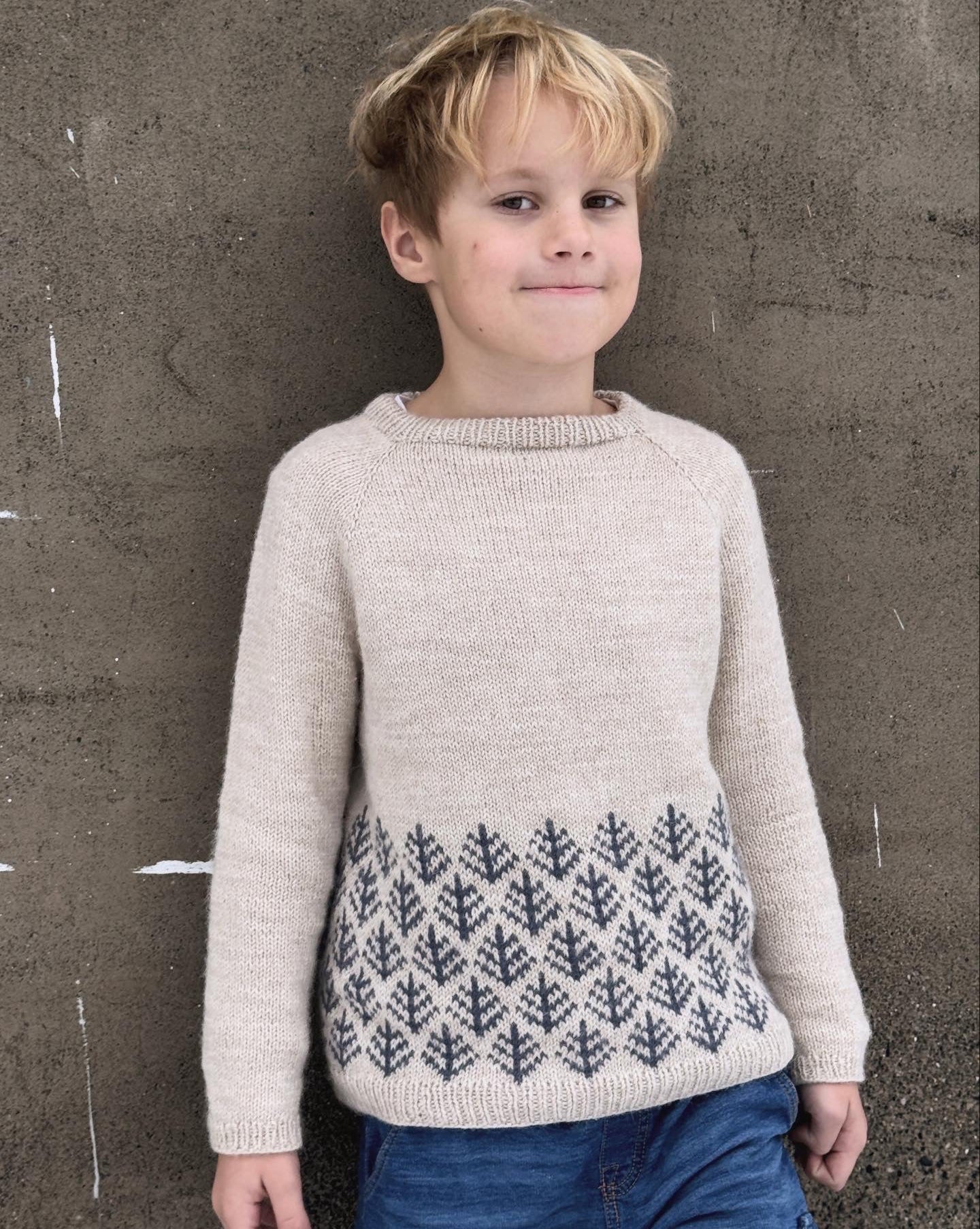 Northern-Hum sweater Barn