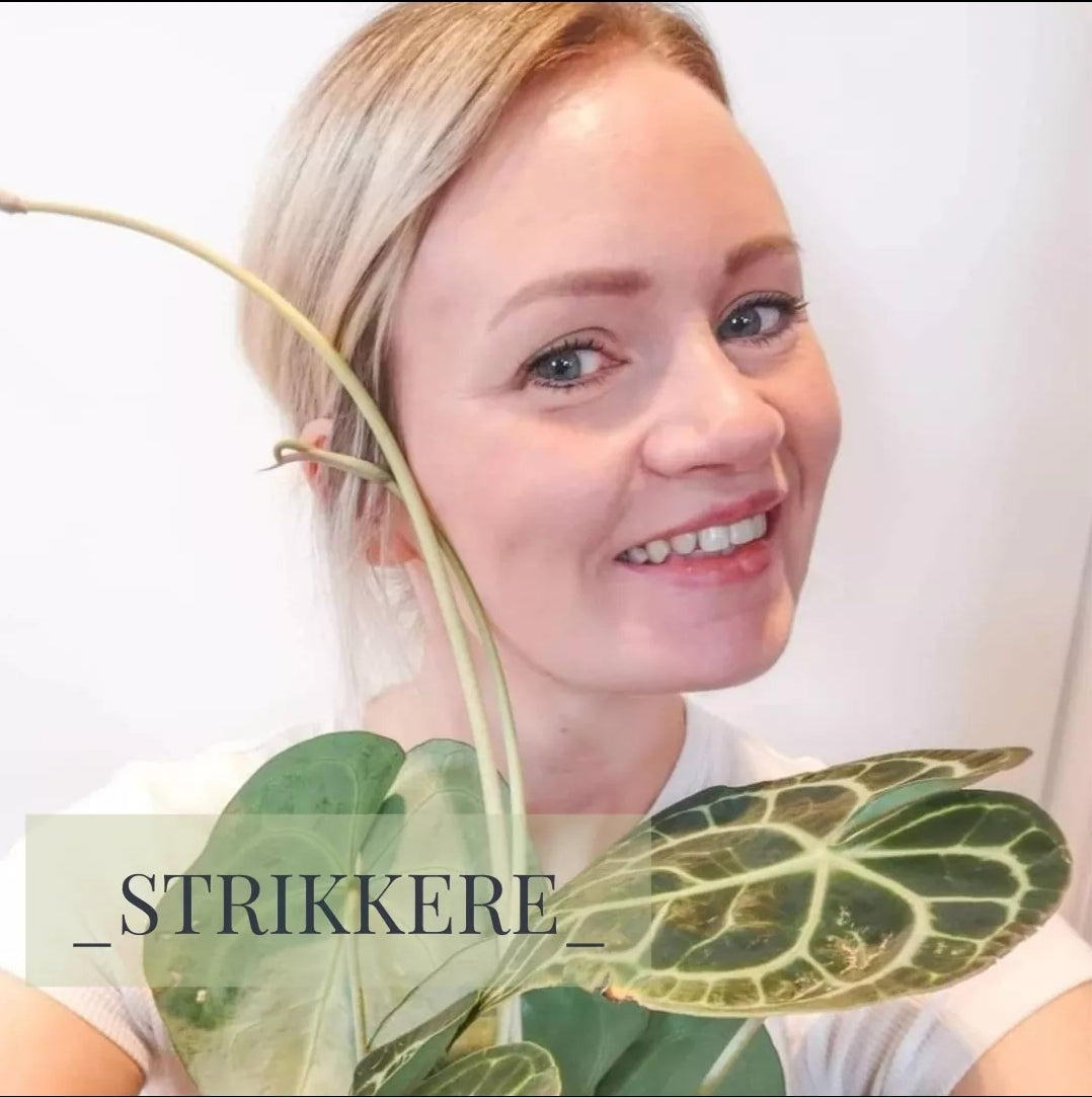 STRIKKERE , No 1
